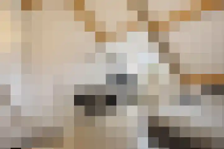 Herman Broodstraat 1 Heesch thumbnail 26