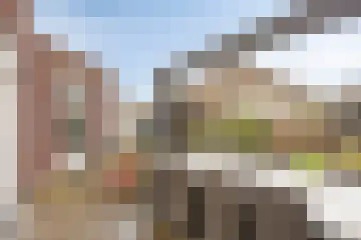 Herman Broodstraat 1 Heesch thumbnail 29