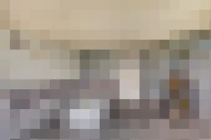 Herman Broodstraat 1 Heesch thumbnail 30