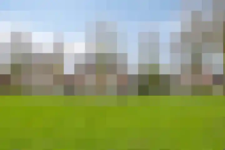 Herman Broodstraat 1 Heesch thumbnail 38