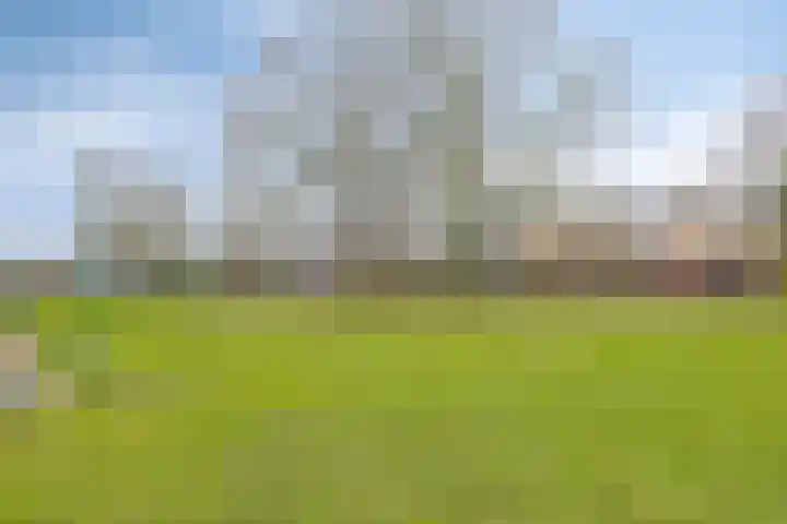 Herman Broodstraat 1 Heesch thumbnail 41