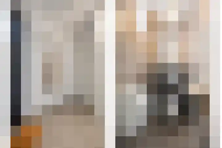 Herman Broodstraat 1 Heesch thumbnail 5