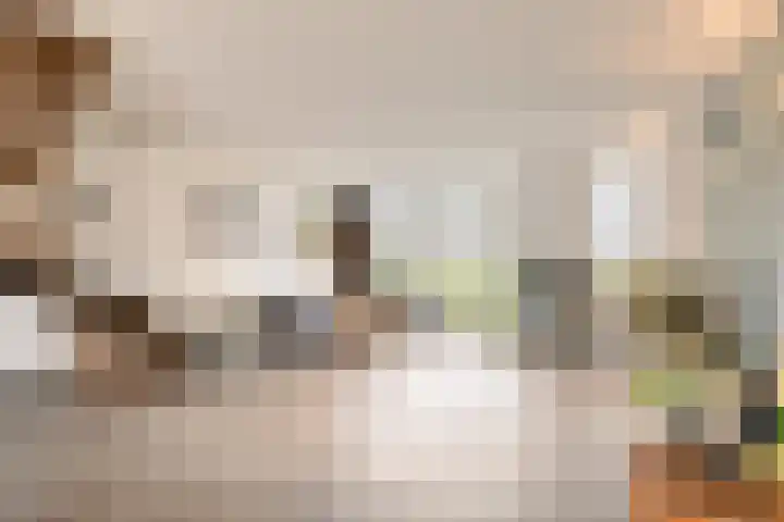 Herman Broodstraat 1 Heesch thumbnail 6