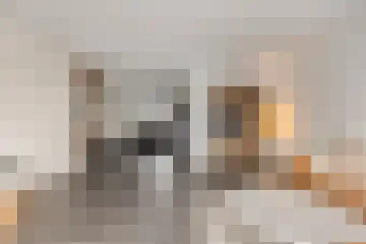 Herman Broodstraat 13 Heesch thumbnail 15
