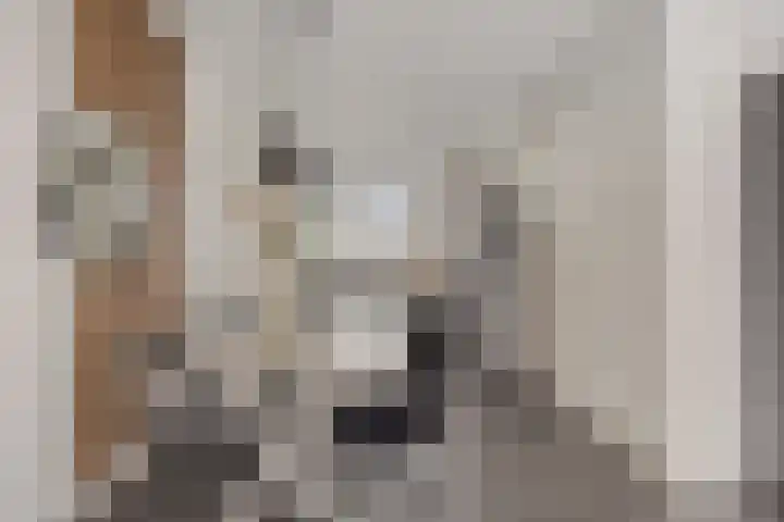 Herman Broodstraat 13 Heesch thumbnail 17