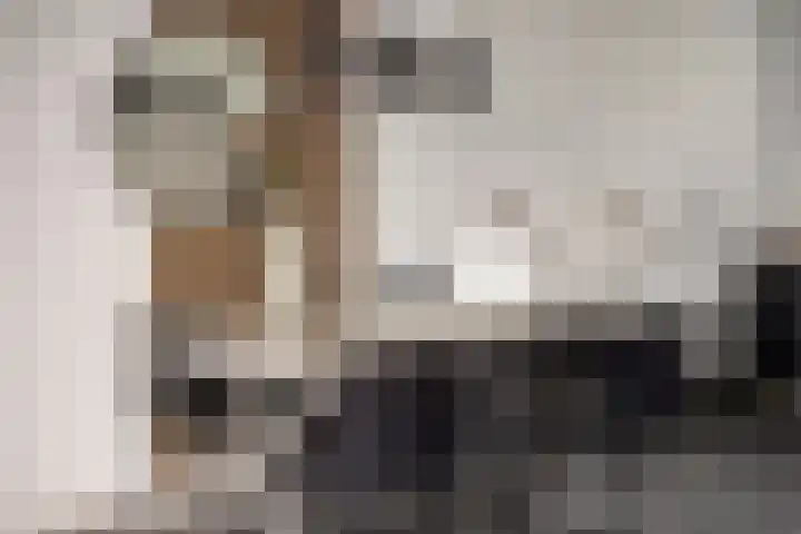 Herman Broodstraat 13 Heesch thumbnail 20