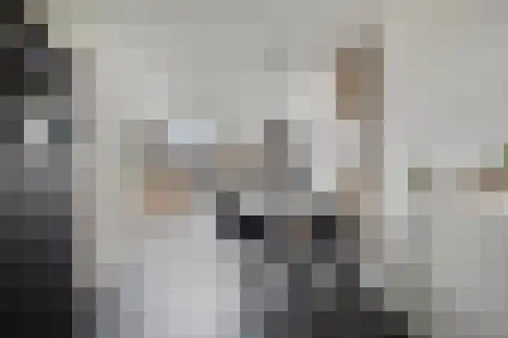 Herman Broodstraat 13 Heesch thumbnail 25