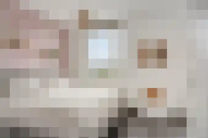 Herman Broodstraat 13 Heesch thumbnail 31