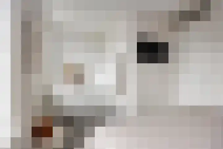 Herman Broodstraat 13 Heesch thumbnail 34