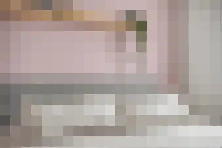 Herman Broodstraat 13 Heesch thumbnail 35