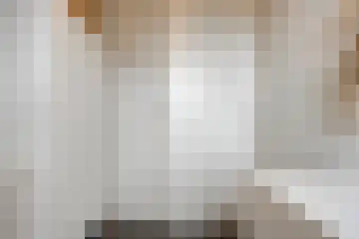 Herman Broodstraat 13 Heesch thumbnail 46