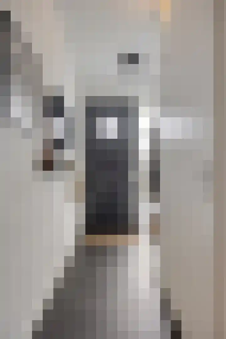 Herman Broodstraat 13 Heesch thumbnail 9