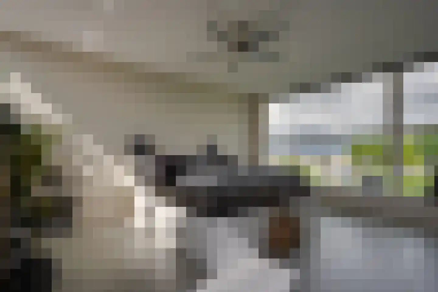 Herman Broodstraat 29 Assen thumbnail 22