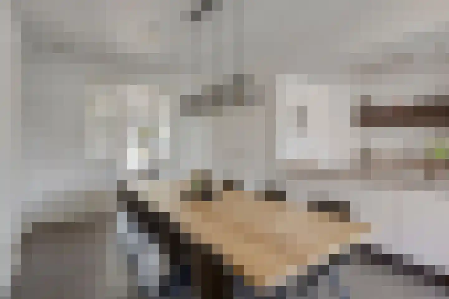 Herman Broodstraat 3 Heesch thumbnail 11