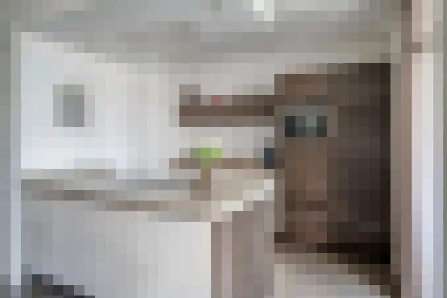 Herman Broodstraat 3 Heesch thumbnail 13