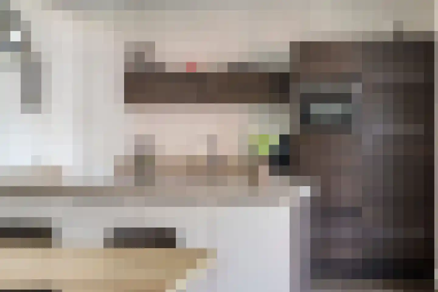 Herman Broodstraat 3 Heesch thumbnail 18