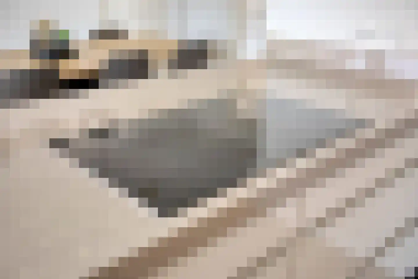 Herman Broodstraat 3 Heesch thumbnail 19