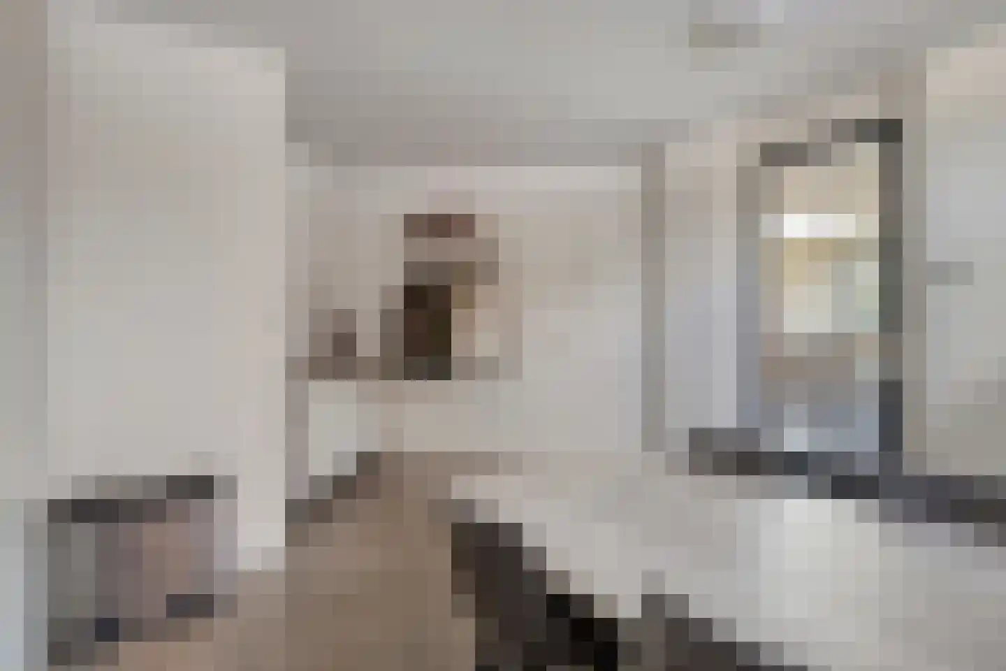Herman Broodstraat 3 Heesch thumbnail 21