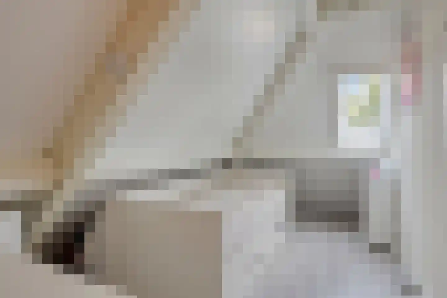 Herman Broodstraat 3 Heesch thumbnail 33
