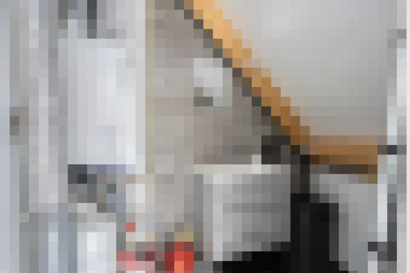 Herman Broodstraat 3 Heesch thumbnail 36