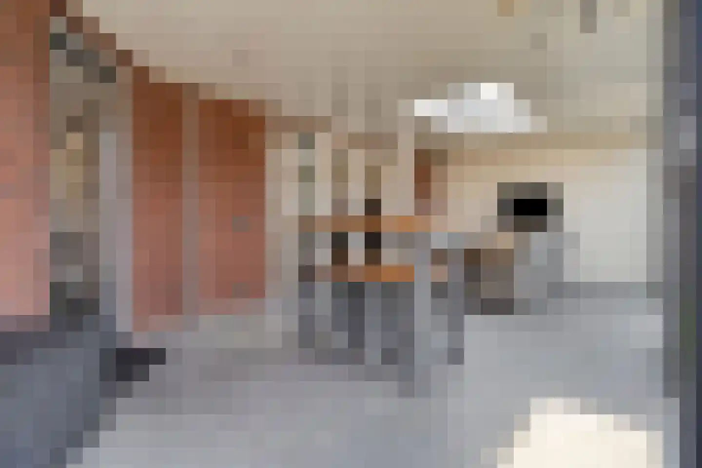 Herman Broodstraat 3 Heesch thumbnail 37