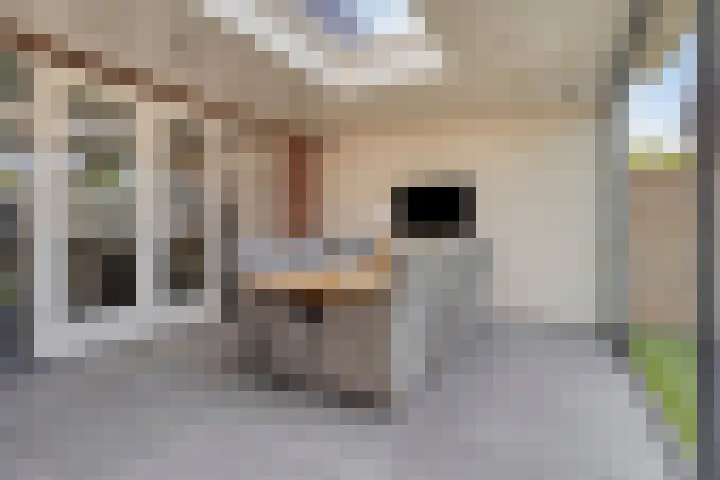 Herman Broodstraat 3 Heesch thumbnail 38