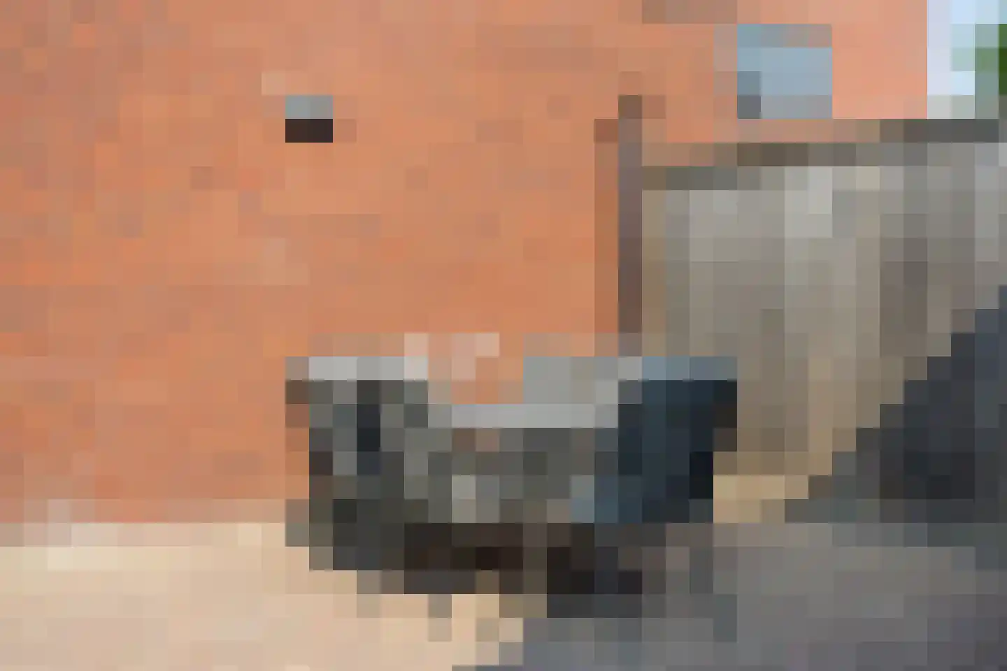 Herman Broodstraat 3 Heesch thumbnail 43