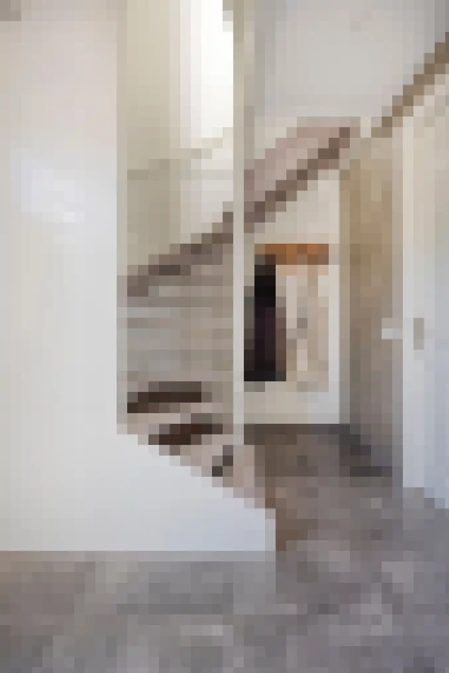 Herman Broodstraat 5 Heesch thumbnail 17