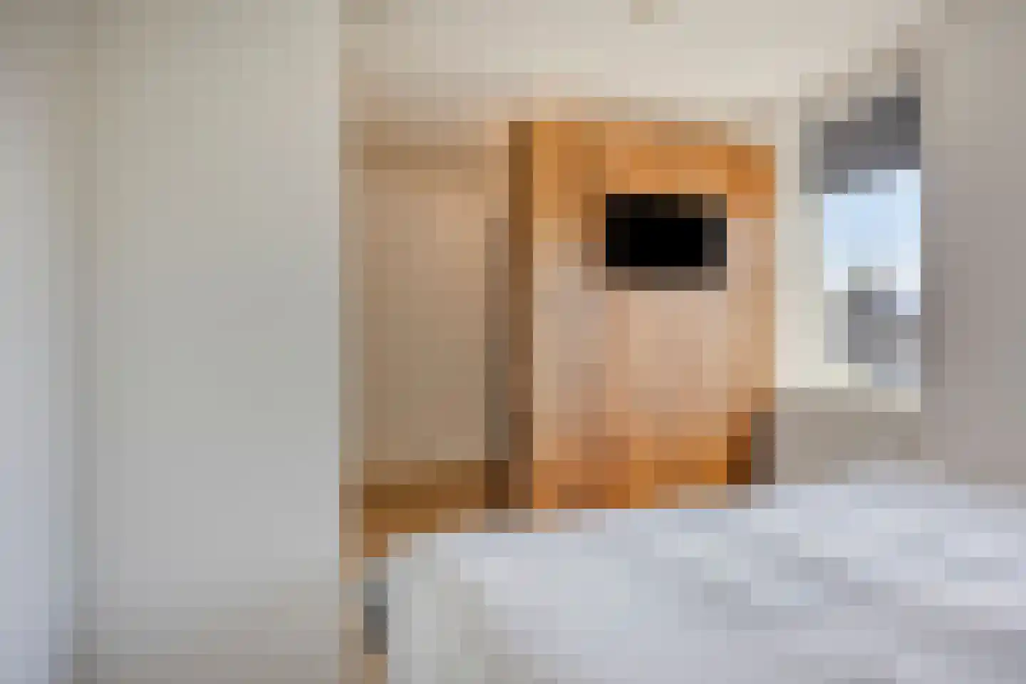 Herman Broodstraat 5 Heesch thumbnail 21