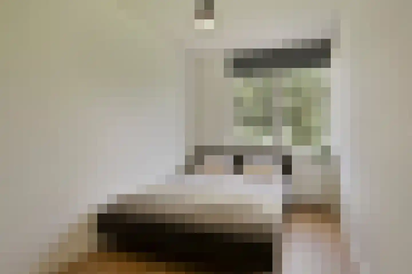Herman Broodstraat 5 Heesch thumbnail 23