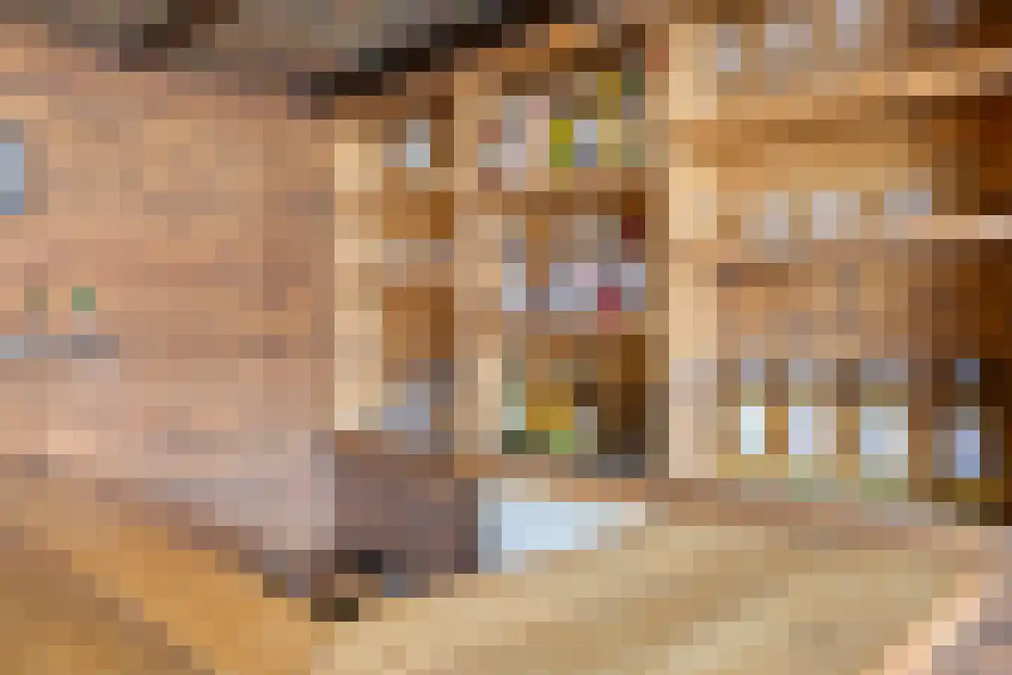 Herman Broodstraat 5 Heesch thumbnail 38