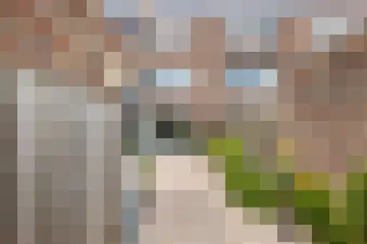 Herman Broodstraat 51 Assen thumbnail 40