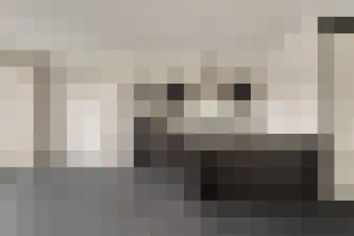 Herman Broodstraat 7 Heesch thumbnail 12