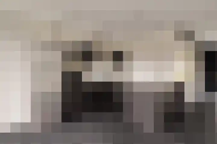 Herman Broodstraat 7 Heesch thumbnail 13
