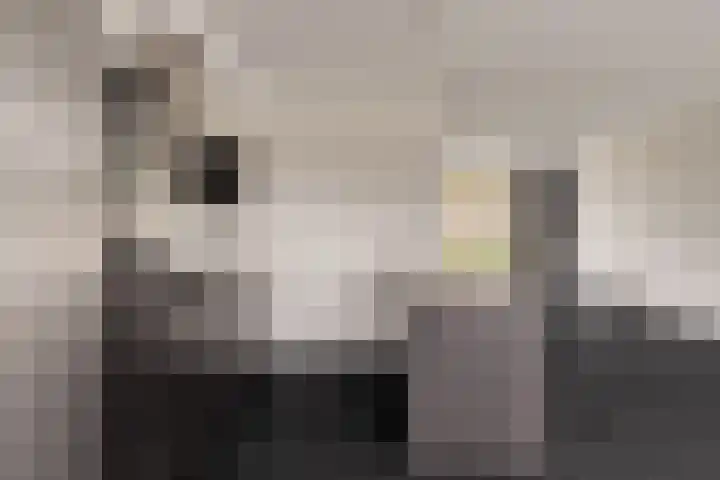 Herman Broodstraat 7 Heesch thumbnail 14
