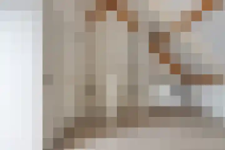 Herman Broodstraat 7 Heesch thumbnail 29