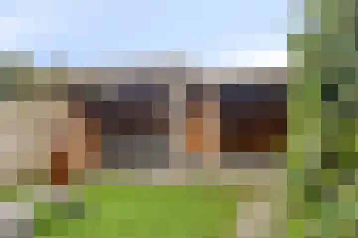 Herman Broodstraat 7 Heesch thumbnail 31