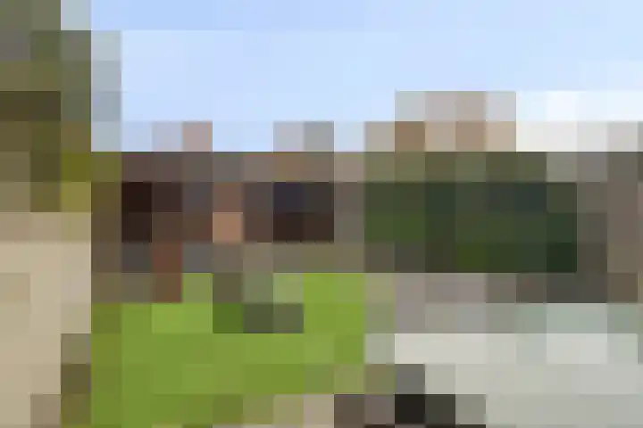 Herman Broodstraat 7 Heesch thumbnail 4