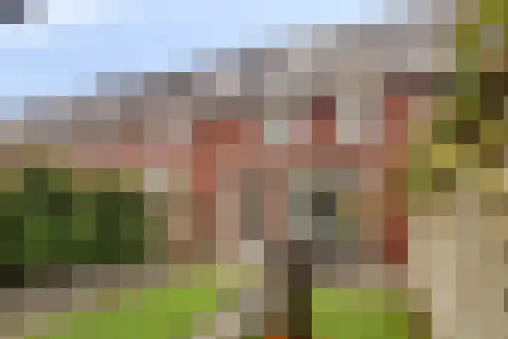 Herman Broodstraat 7 Heesch thumbnail 5