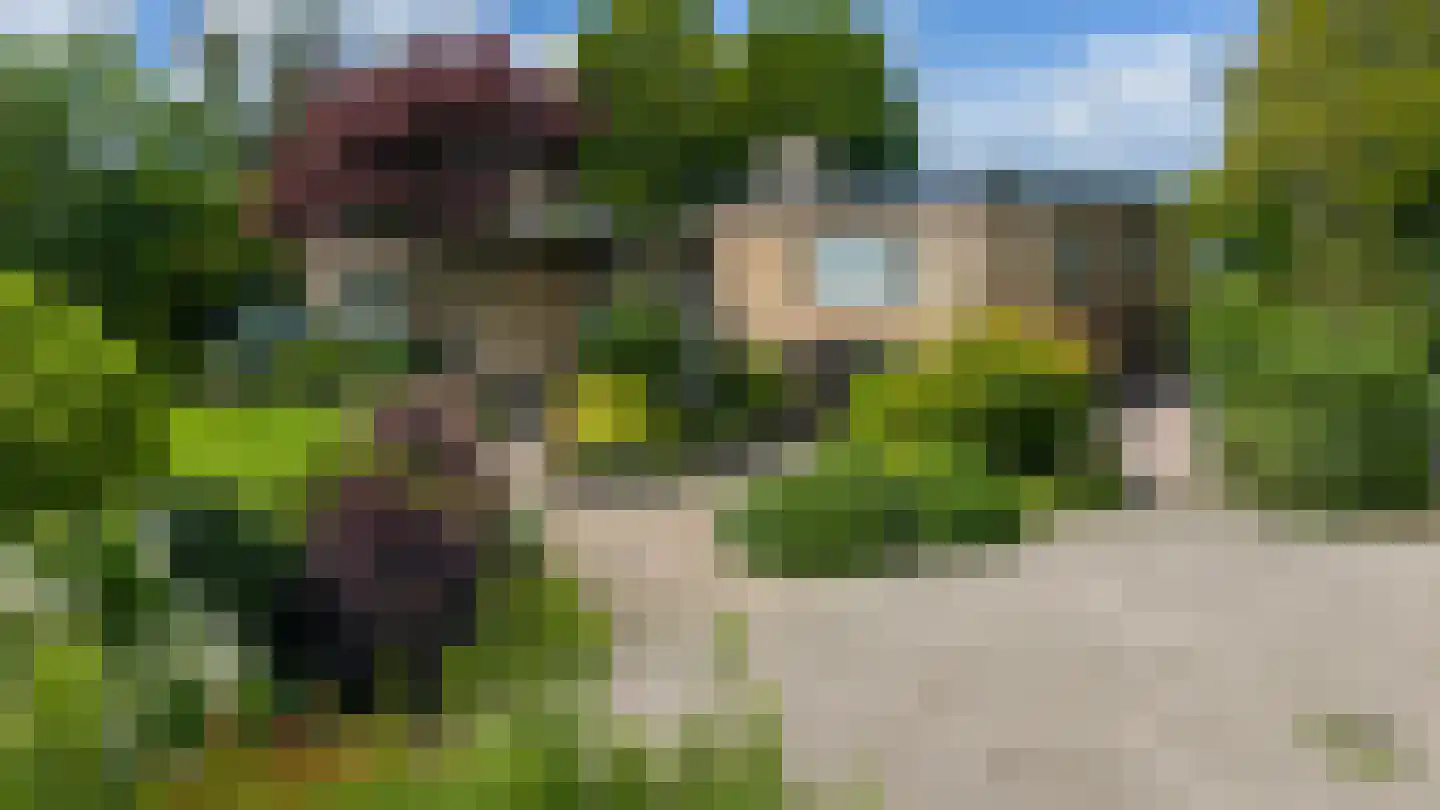Herman Buismanlaan 6 Zwartsluis thumbnail 9