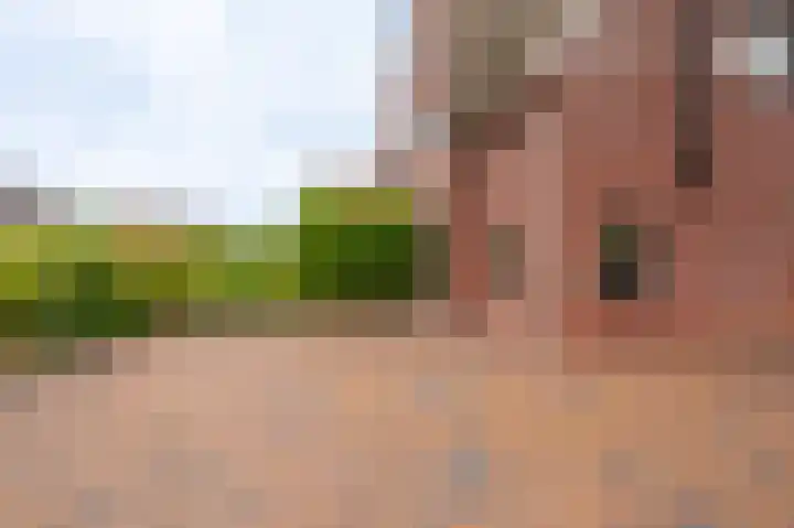 Herman Colleniuslaan 4 Uithuizen thumbnail 11