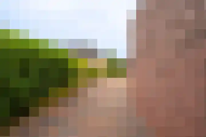 Herman Colleniuslaan 4 Uithuizen thumbnail 13