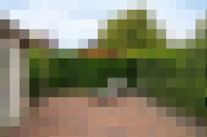 Herman Colleniuslaan 4 Uithuizen thumbnail 15