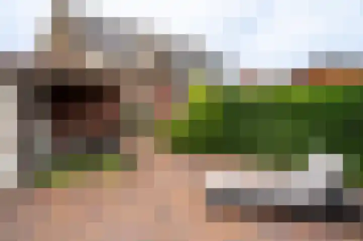 Herman Colleniuslaan 4 Uithuizen thumbnail 16
