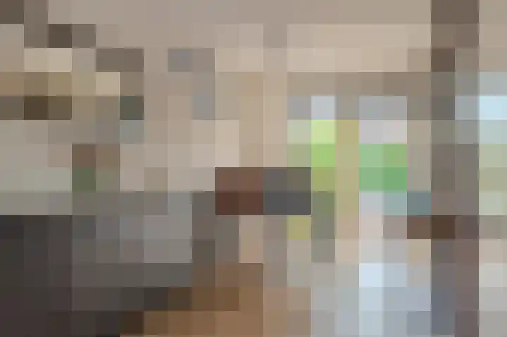 Herman Colleniuslaan 4 Uithuizen thumbnail 27