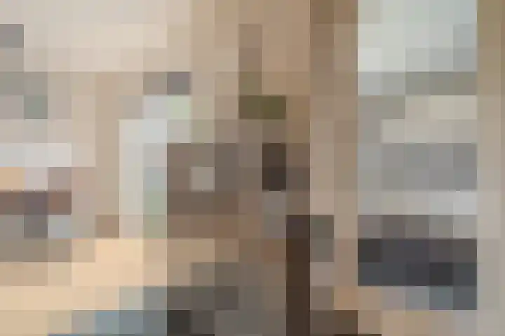 Herman Colleniuslaan 4 Uithuizen thumbnail 33