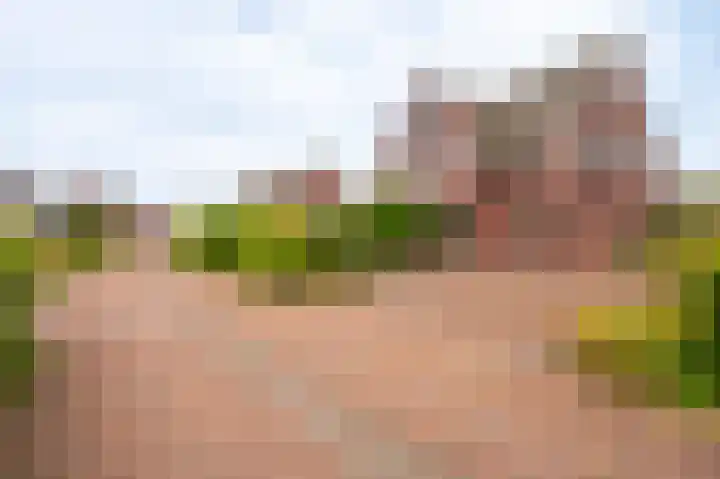 Herman Colleniuslaan 4 Uithuizen thumbnail 7