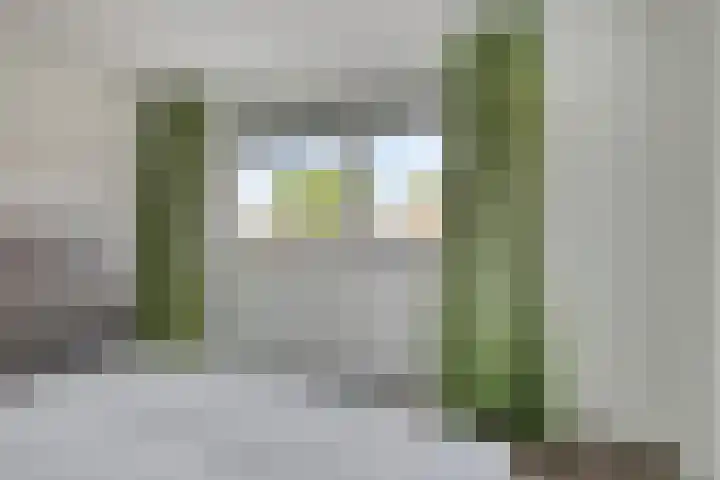 Herman Colleniusstraat 24 Leek thumbnail 19