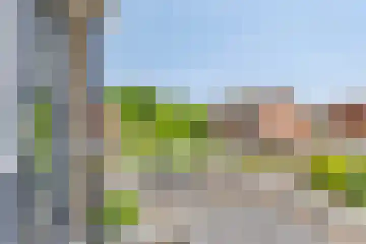 Herman Colleniusstraat 24 Leek thumbnail 25