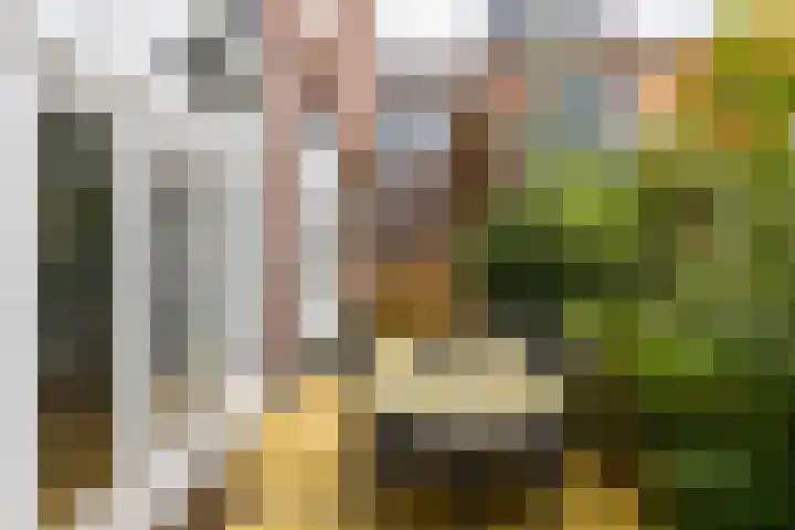 Herman Colleniusstraat 30 Groningen thumbnail 42